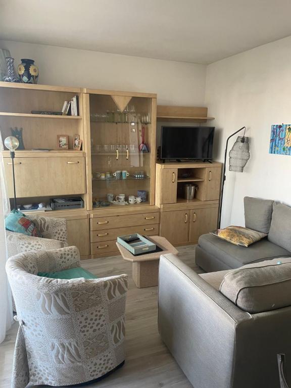 un salon avec un canapé et une télévision dans l'établissement Appartement sympa Arcachon, à Arcachon