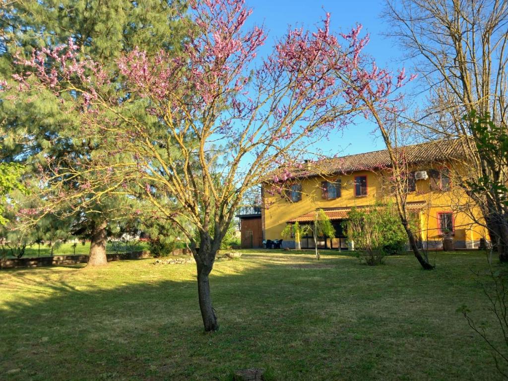 a tree in the yard of a house at La Casa di Gio ed Eli in Voghera