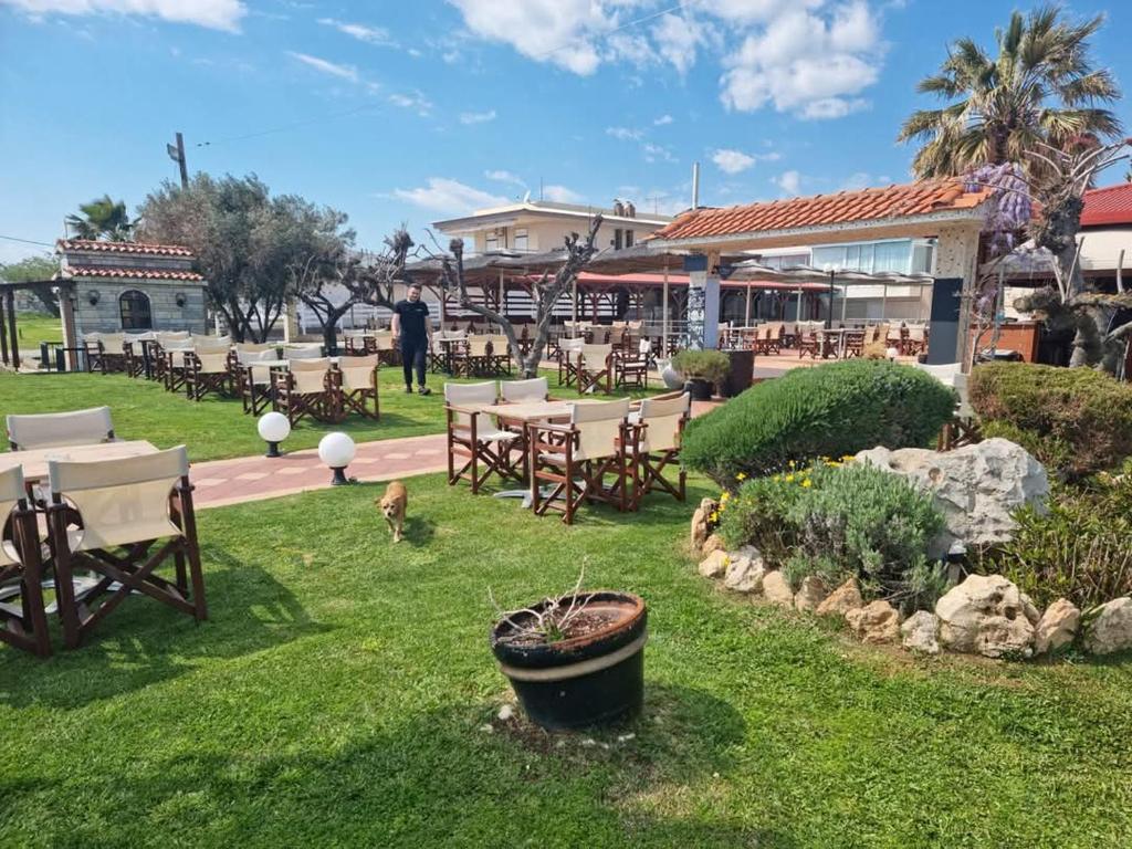 Zahrada ubytování Hotel Nautilos