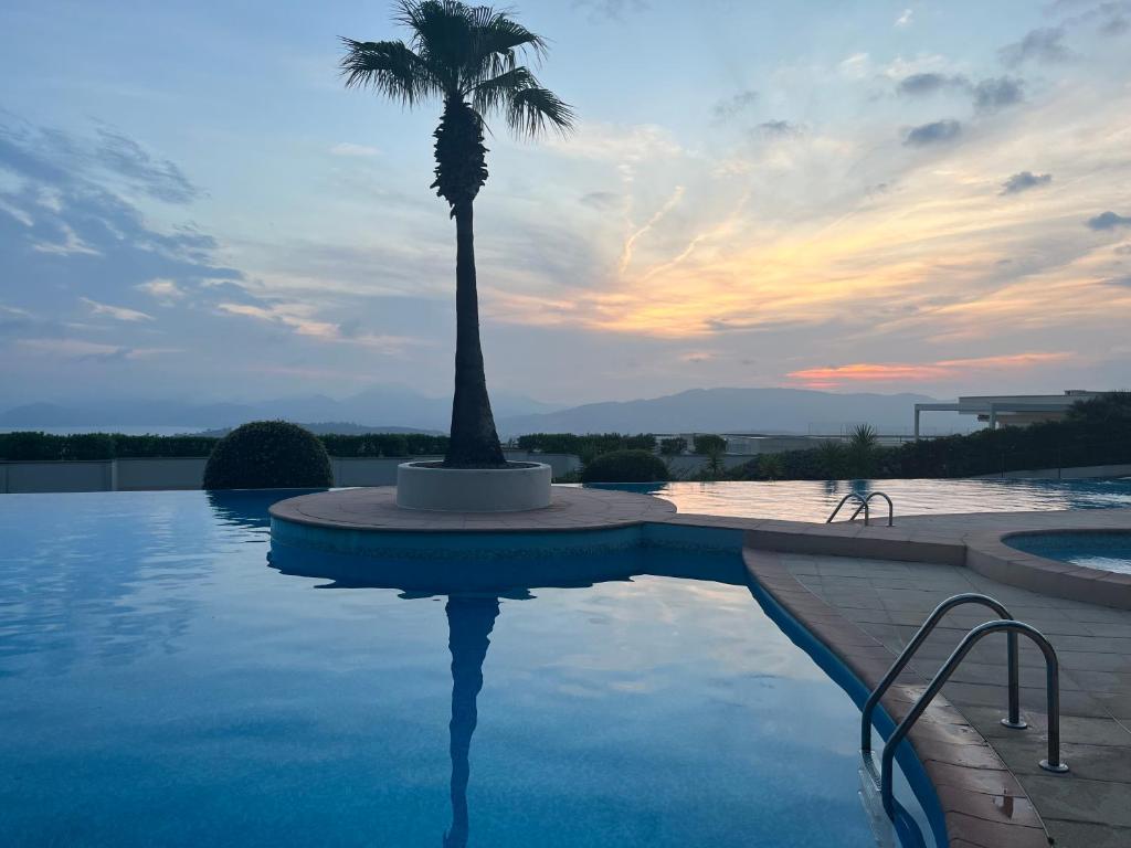 un palmier au milieu d'une piscine dans l'établissement Grand studio sur les hauteurs de Cannes, à Mougins