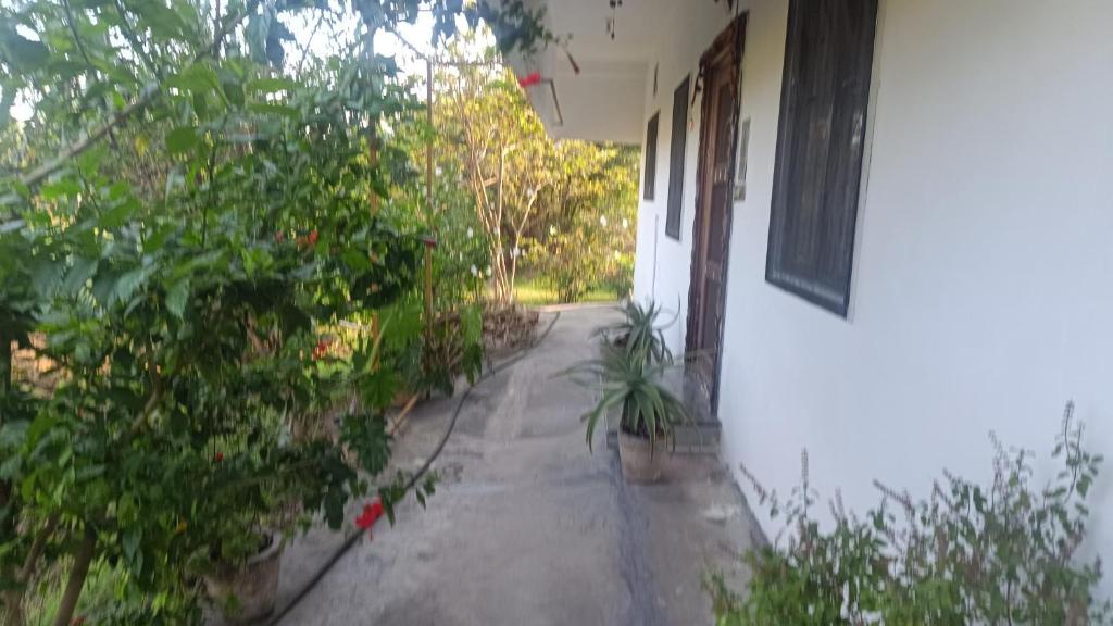Aed väljaspool majutusasutust Beverly Dinesh Homestay