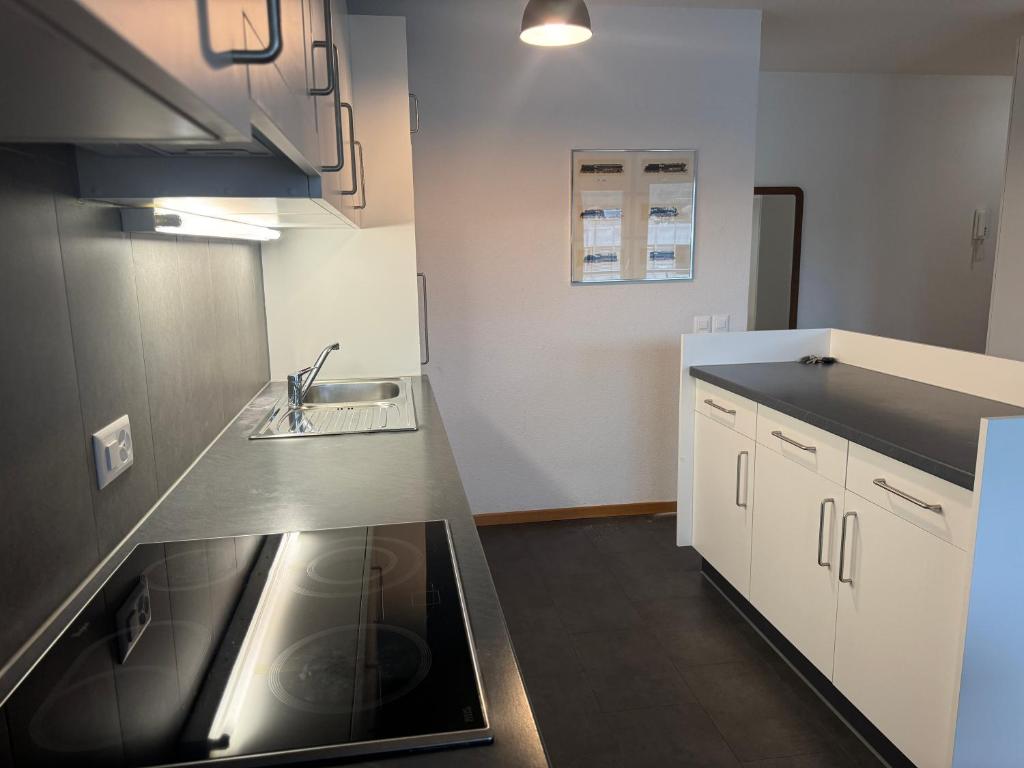 KönizSchöne Wohnung in Bern的带水槽和台面的厨房
