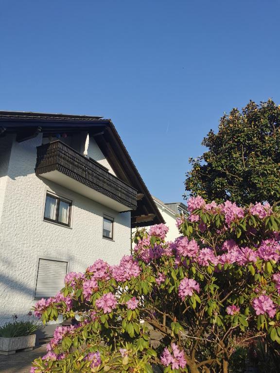 a building with pink flowers in front of it at Ferienwohnung Magnolie in Langenargen in Langenargen