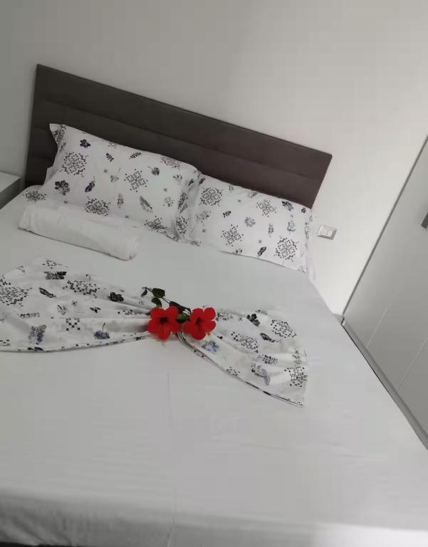 Apartamente Deon