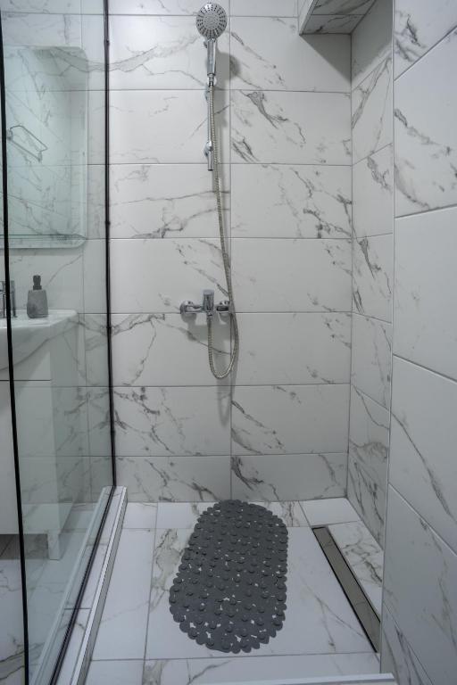 Vannituba majutusasutuses Apartmani ALBION
