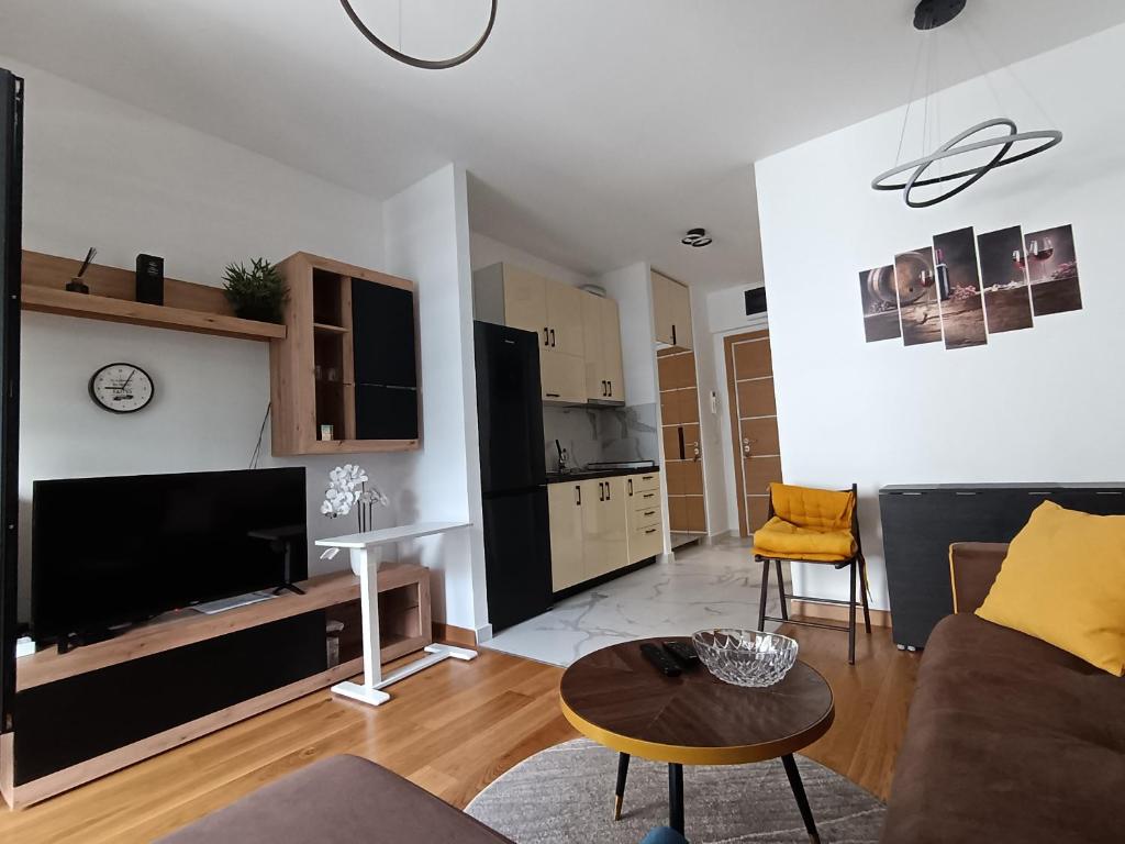 TV a/nebo společenská místnost v ubytování Viva apartment in condominium