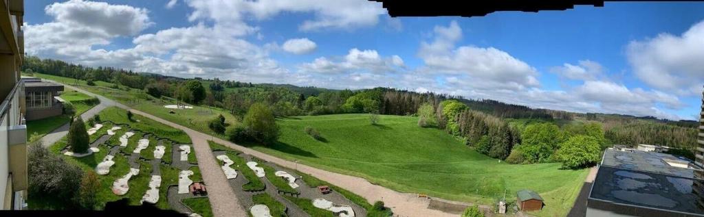 an aerial view of a green field with sheep at Oben in der 14 Etage in Braunlage