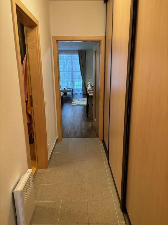 Fotografie z fotogalerie ubytování Apartmán Vratička Říčky v Orlických horách v destinaci Říčky