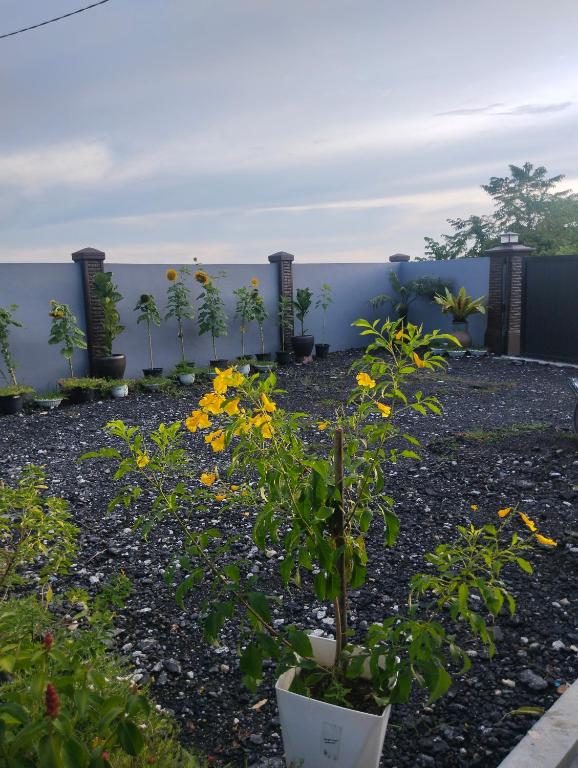 Zahrada ubytování Villa Adeeva Homestay Langkawi