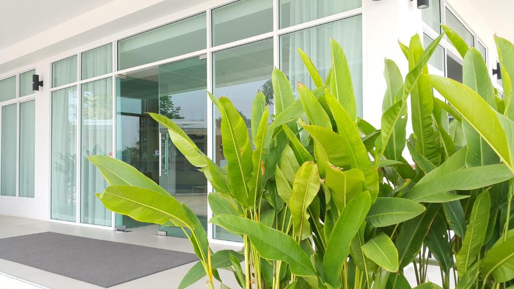 Donchan Residence - Resim 35