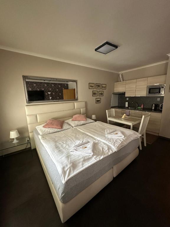 Harrachov Resident Apartments "Terrace & Chill" - high speed WiFi, možnost snídaně, Smart TV, Netflix, Disney plus - 1