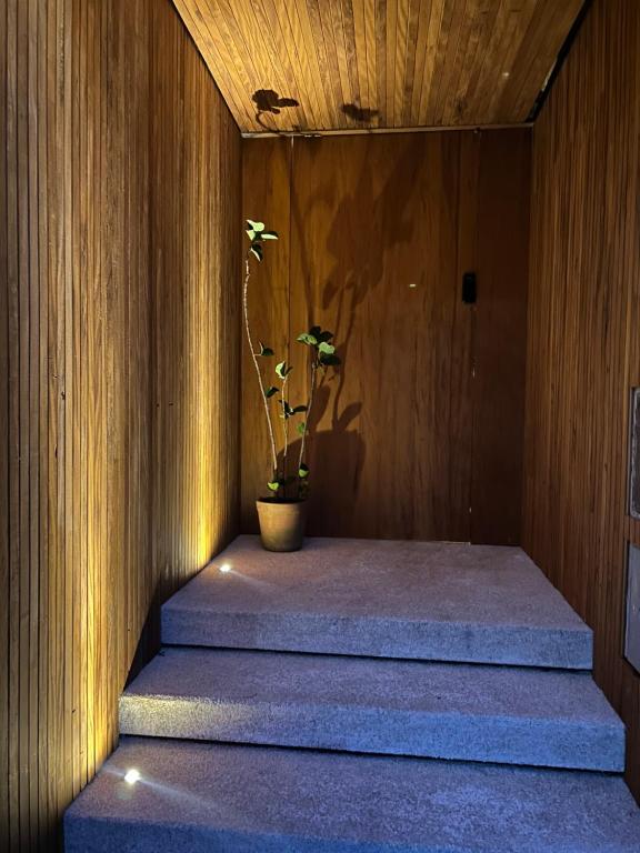 a plant in a pot sitting on some stairs at Flat ao lado da Praia - Rifaina in Rifaina