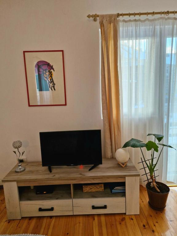 Apartments center Zorić - 3