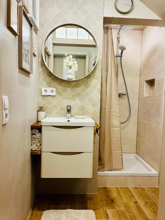 a bathroom with a sink and a mirror at Extravagantes Apartment in Potsdam