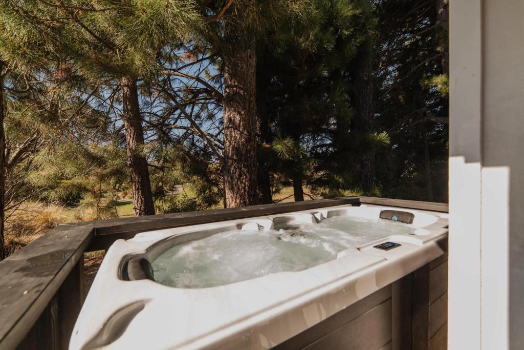 Lake Tekapo Comet Studio - Starry Skies - Resim 1