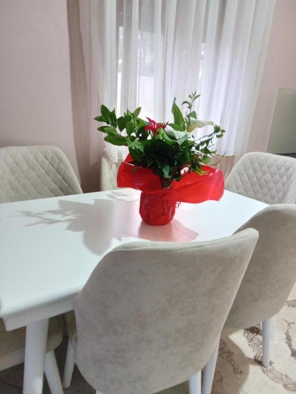 Prostor za sedenje u objektu Vjollca`s Home