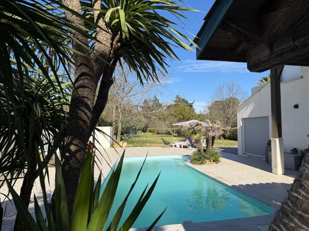 - une piscine avec un palmier à côté d'une maison dans l'établissement VILLA piscine au GOLF, à Baillargues