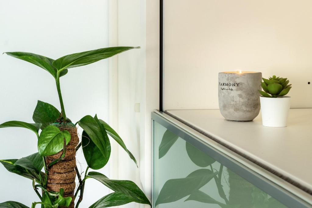 Esclusivo e unico Balcone sul Lago di Lugano, Gandria - Resim 38