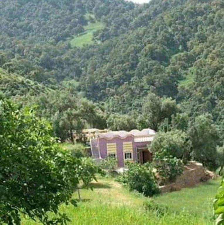 Příroda nedaleko apartmánu