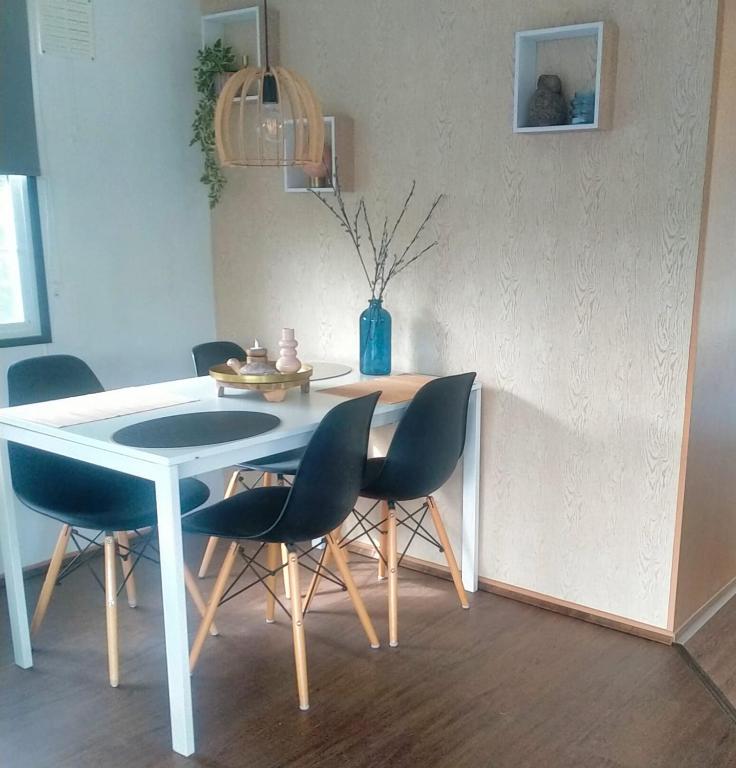 Fotografie z fotogalerie ubytování Vienna v destinaci Dronrijp