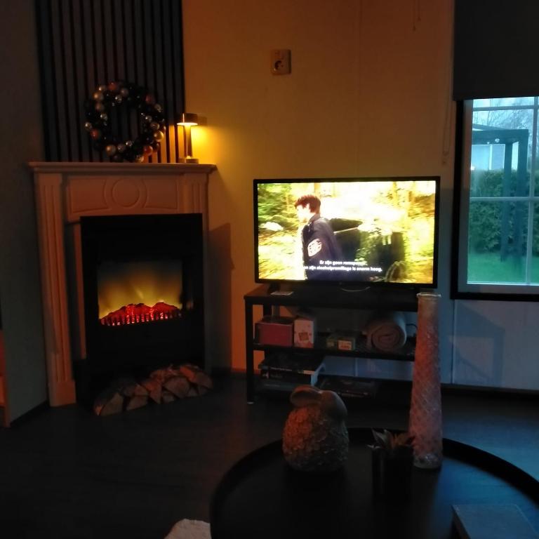 TV a/nebo společenská místnost v ubytování Vienna