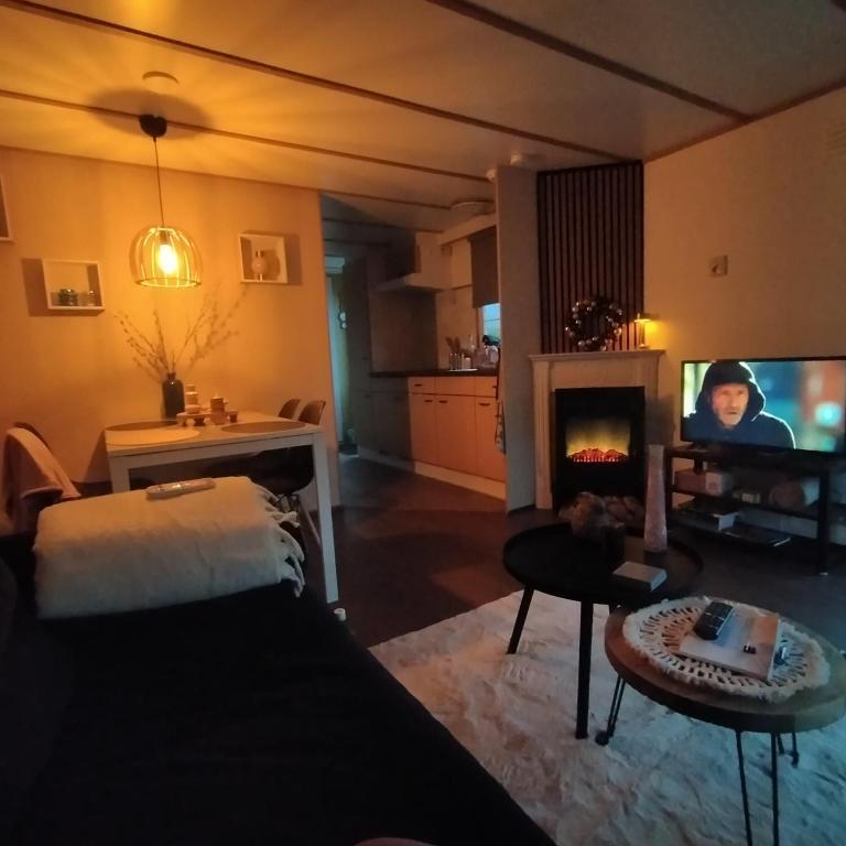 TV a/nebo společenská místnost v ubytování Vienna