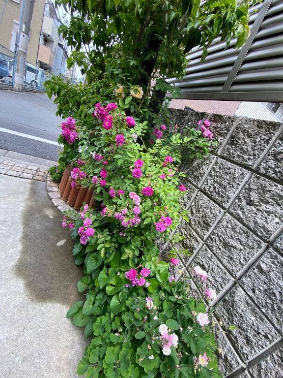 Zahrada ubytování 遥華-Haruka House
