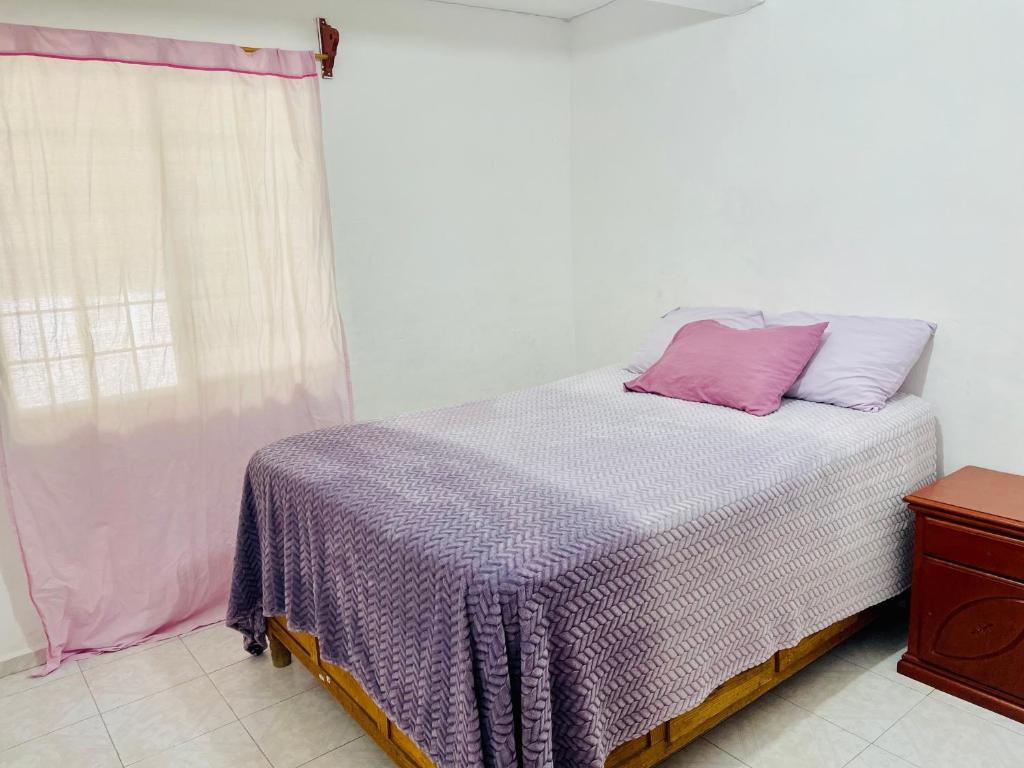 a bedroom with a bed with a purple blanket and a window at Boogirl in Aguascalientes