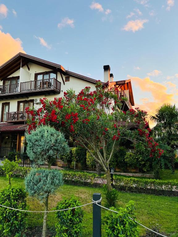 Zahrada ubytování Cevizdibi Hotel