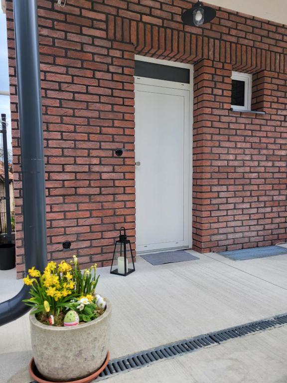Exteriér nebo vchod ubytování Apartmány Lily - Self Checkin - Parking - 40m2