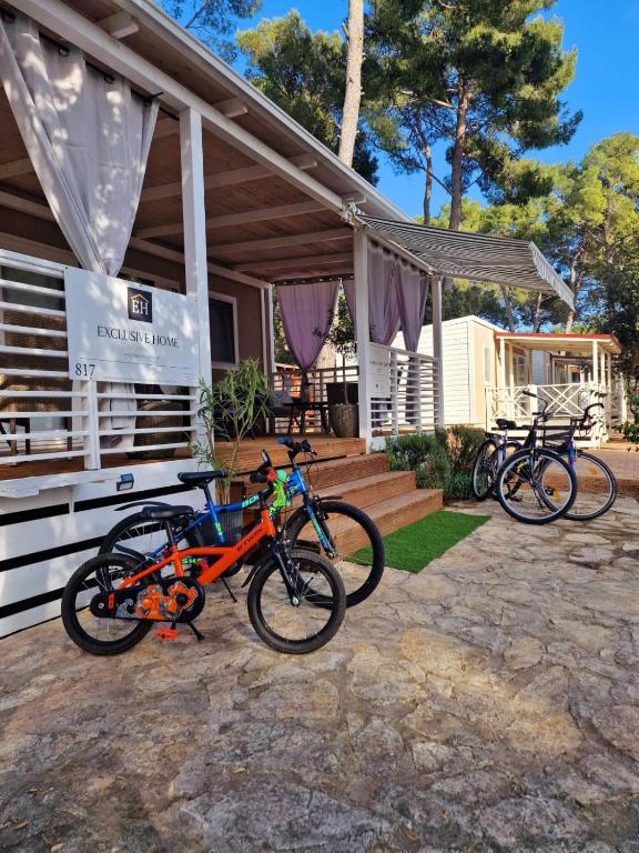 Jízda na kole v ubytování Mobile home RENE nebo okolí