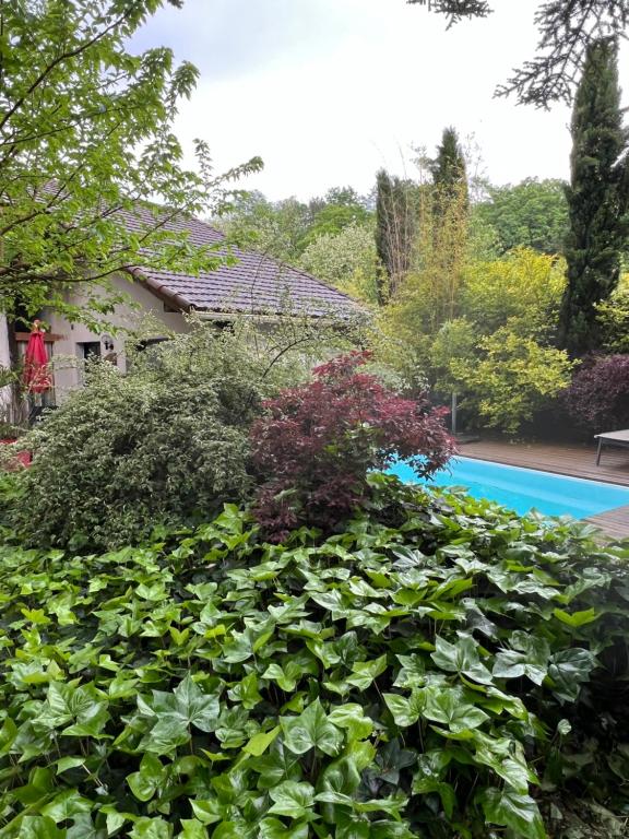 Matin de Saône - Studio