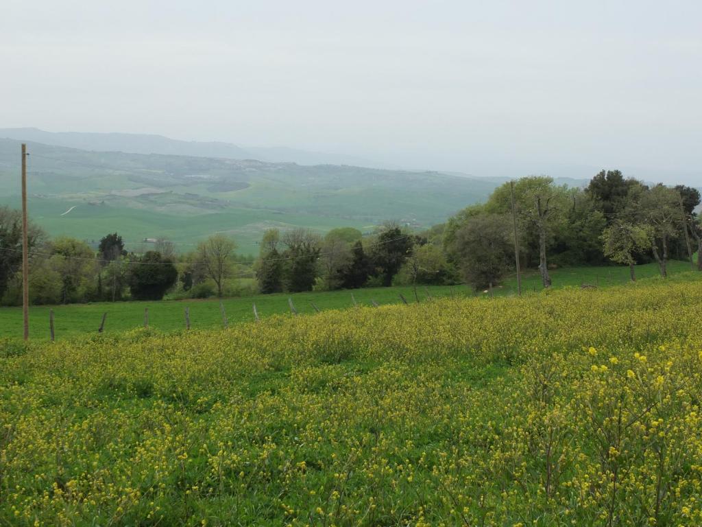 Príroda v okolí of the country house