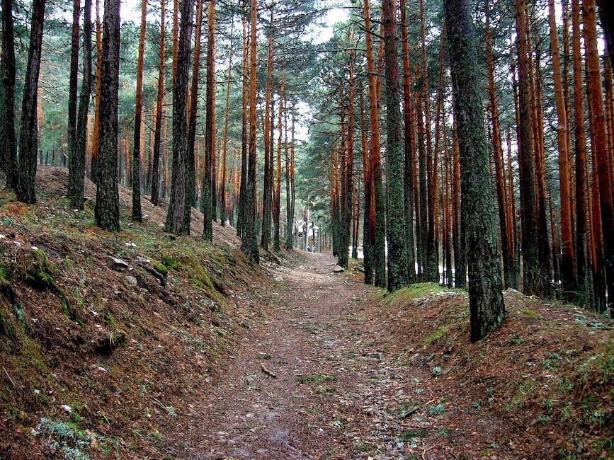 Příroda nedaleko hotelu
