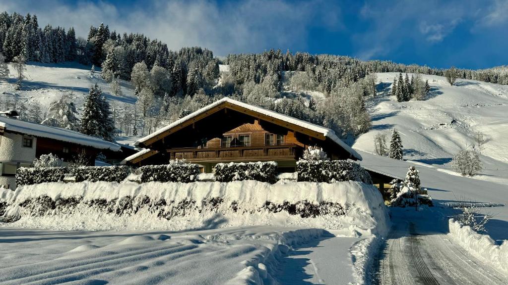 Living Apartments Saalbach incl Joker Card in Summer