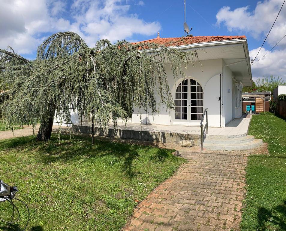 a small white building with a tree in front of it at villa Moana andernos in Andernos-les-Bains