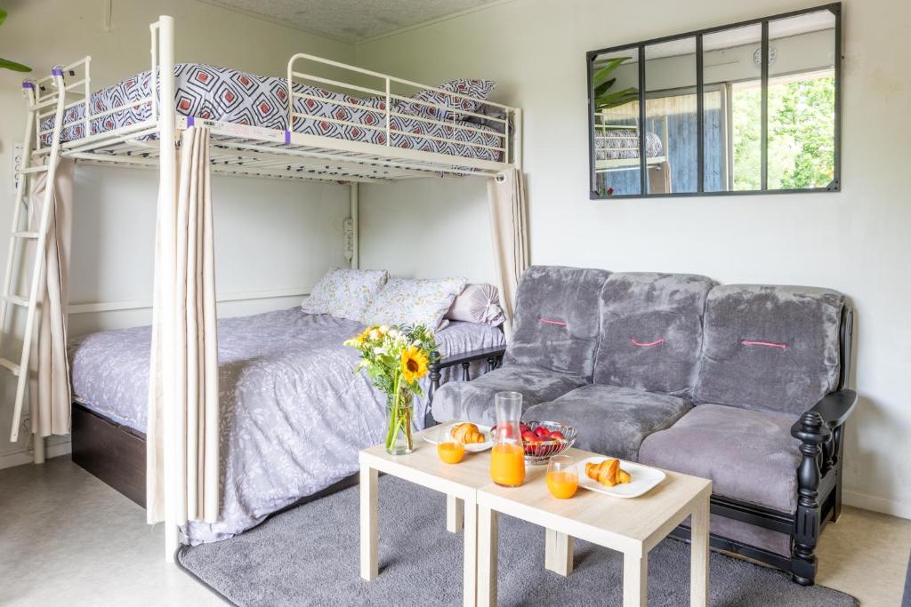 a living room with a couch and a bunk bed at Studio - 2 lits doubles - parking in Saint-Paul-lès-Dax