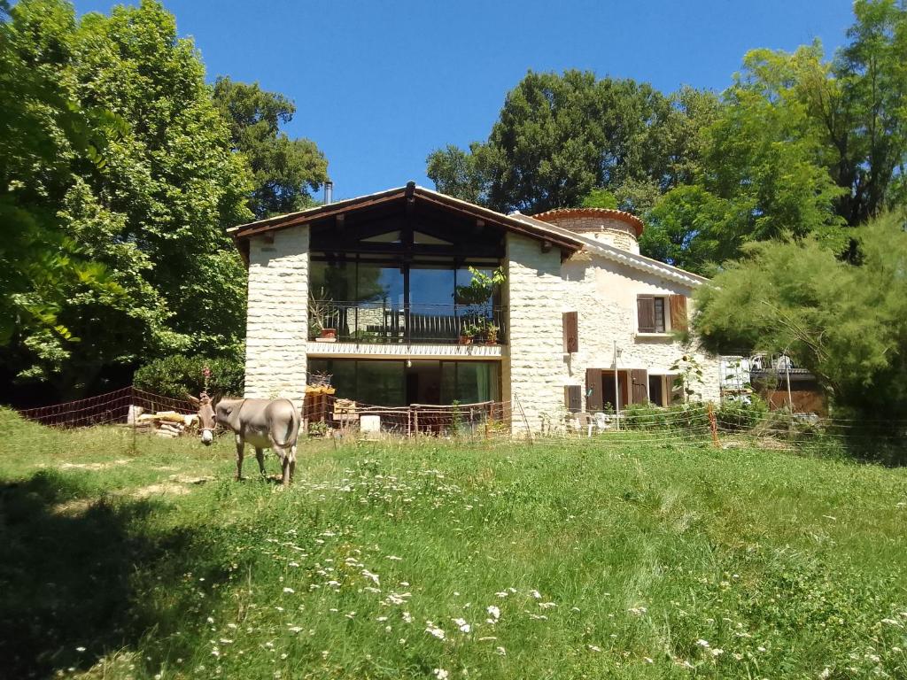 a horse standing in a field in front of a house at Les Favouilles, le gîte pour 15 personnes in Dauphin