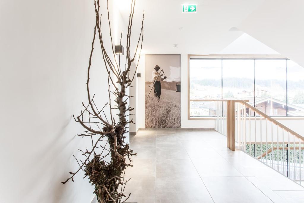 Fotografie z fotogalerie ubytování Hubertus Logis Apartments v destinaci Brixen im Thale