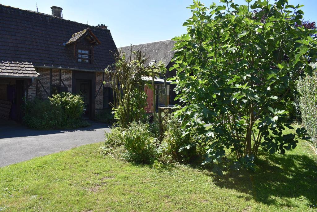 un arbre dans la cour d'une maison dans l'établissement Les écuries d'Ailly, à La Celle-sous-Gouzon