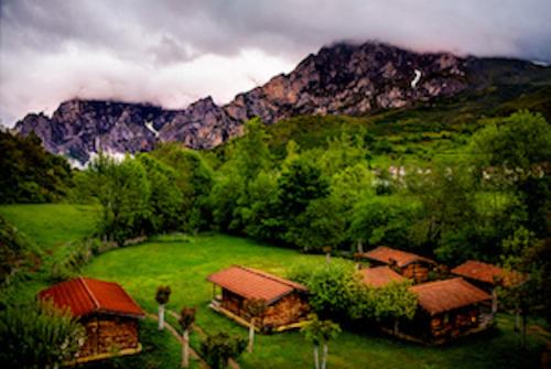 a group of cottages in a field in front of a mountain at Bungalows Rurales Picos de Europa in Posada de Valdeón