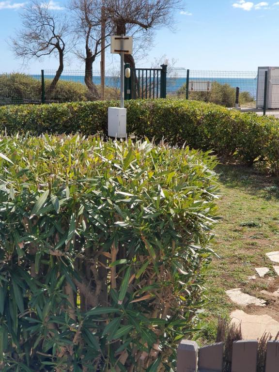 une haie dans un parc avec une clôture et des arbres dans l'établissement Appart CAP D'AGDE, au Cap d'Agde