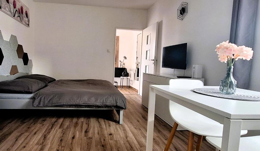Televiisor ja/või meelelahutuskeskus majutusasutuses Pretty private Apartment U LABE, self-service check-in 24 l 7