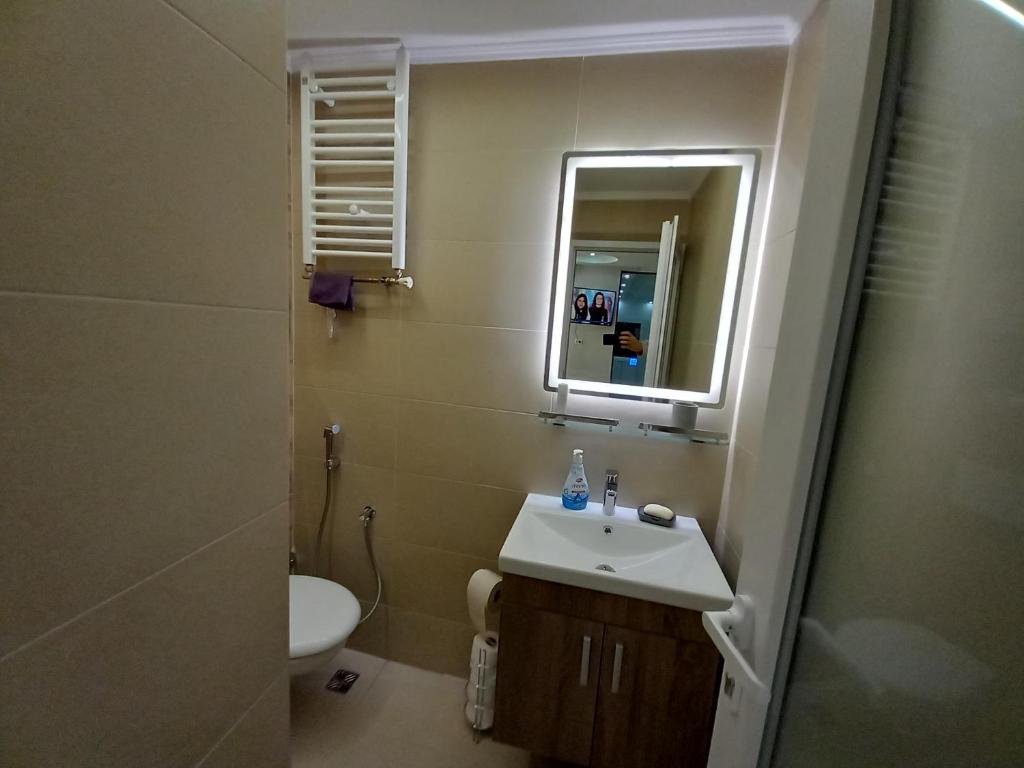 a bathroom with a sink and a mirror and a toilet at Sarajevo apartman Ilidza Springs parking free in Sarajevo