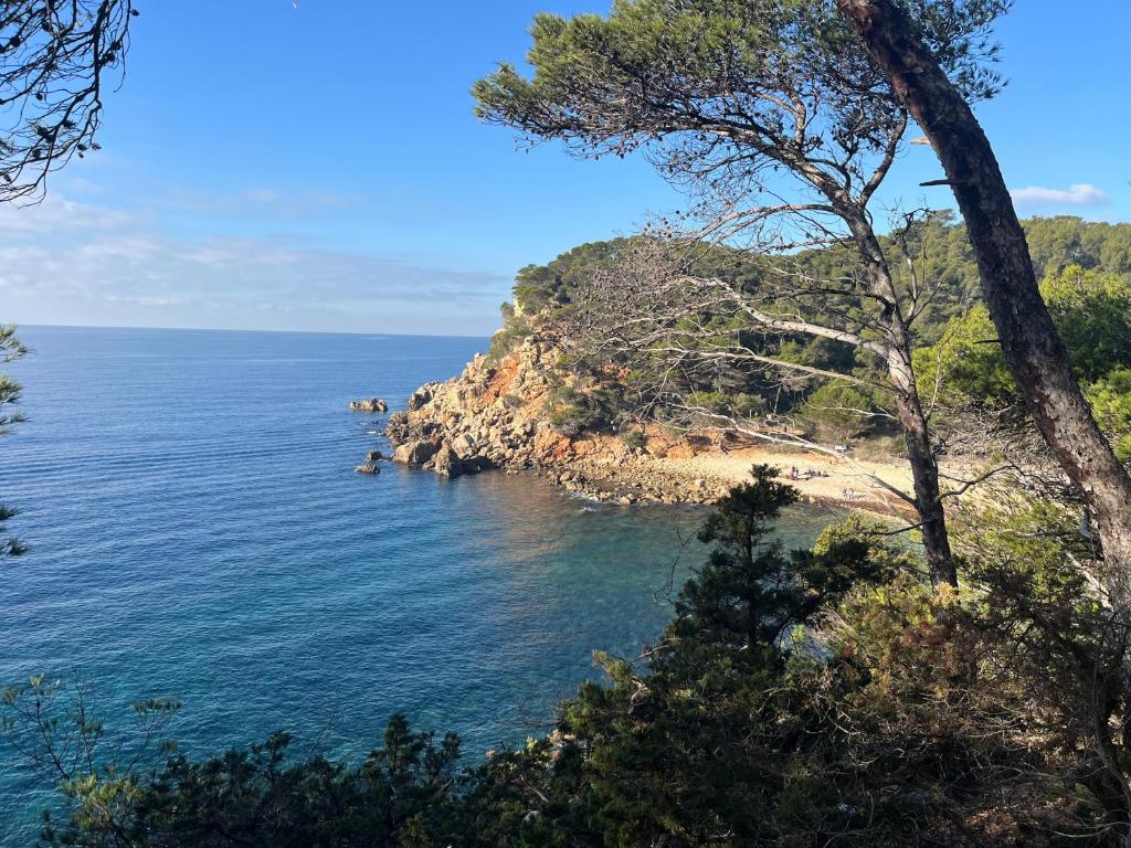 - une vue sur l'océan depuis une falaise dans l'établissement CAPELAN, à Bandol