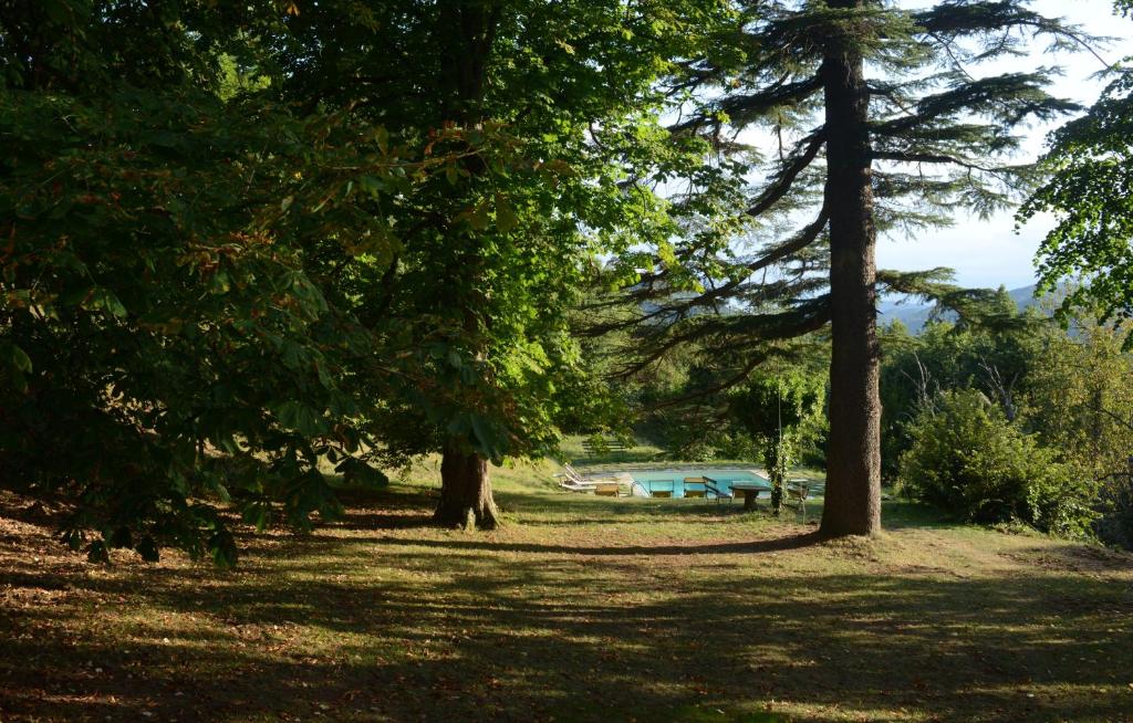 Zahrada ubytování Montesoro, hystoric country villa with swimming pool, sorrounded by nature