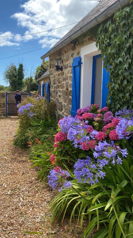 un bouquet de fleurs à l'extérieur d'une maison dans l'établissement La Maison, à Crozon