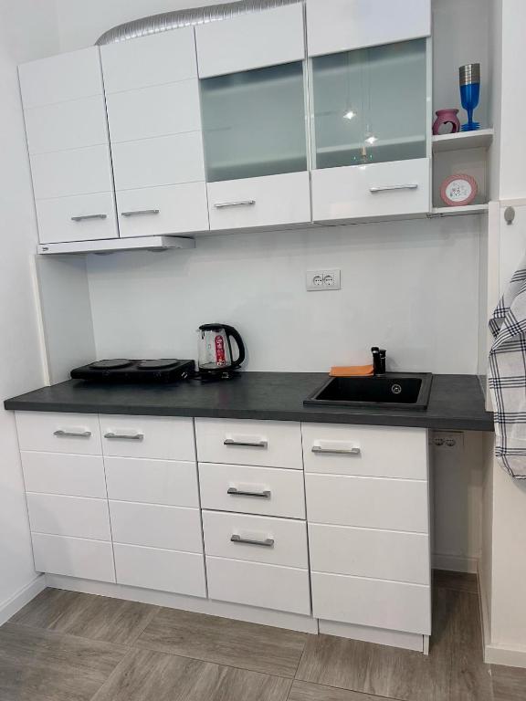 Kuchyň nebo kuchyňský kout v ubytování Sea View Apartment Montenegro