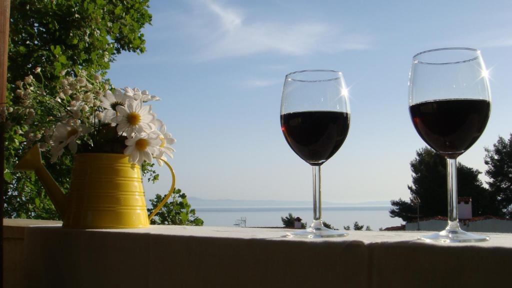 due bicchieri di vino rosso su un tavolo con un vaso di fiori di Paradise a Kriopigi
