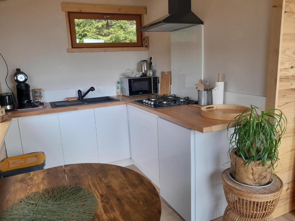 Kuchyň nebo kuchyňský kout v ubytování Chalet de l'Abondance